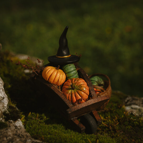 Calabazas (3), hierbas y póster sobre carretilla