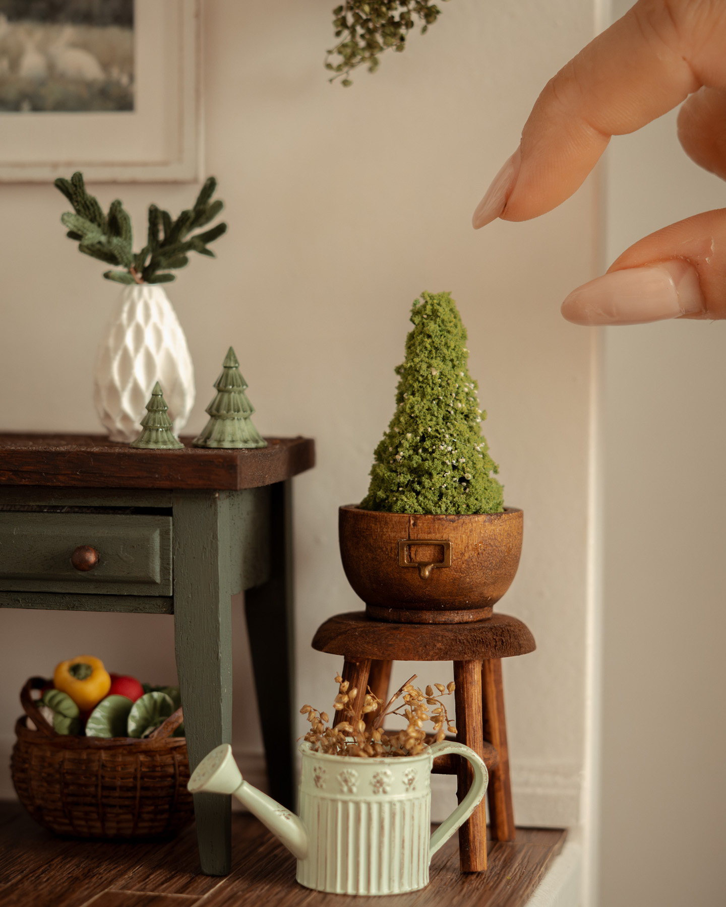 Abeto en tiesto redondo - Imagen 2