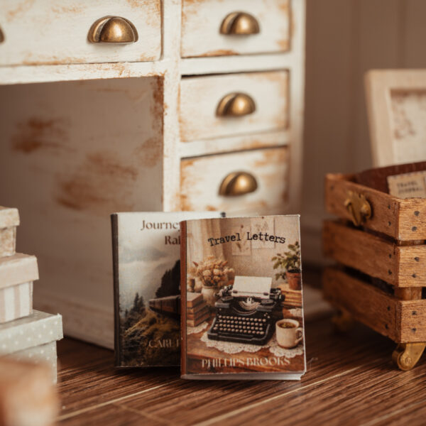 Libros de viaje (pack de 2)
